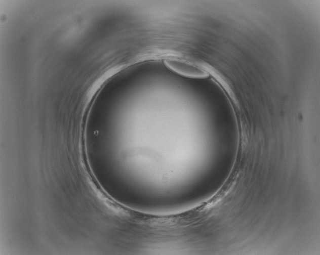 X0000074940861200609011114