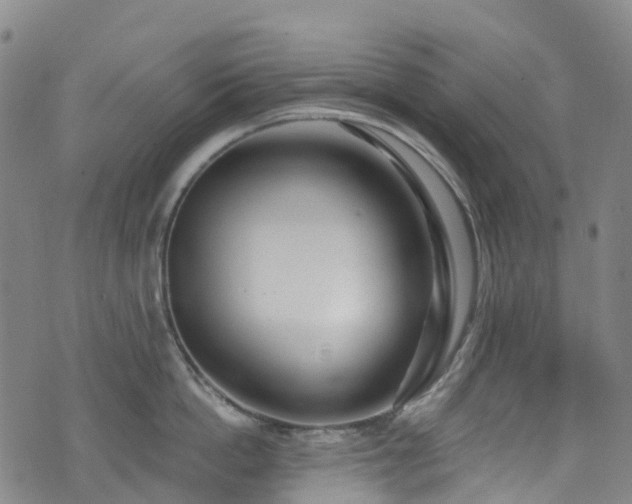 X0000074940862200609011114