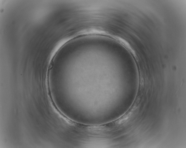 X0000074940863200609011114