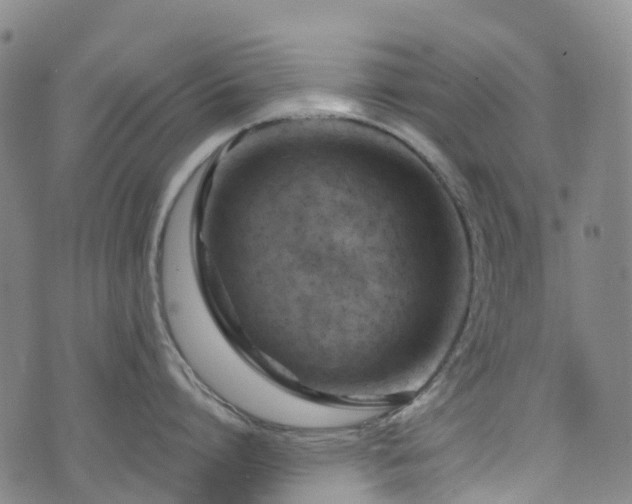 X0000074940864200609011114