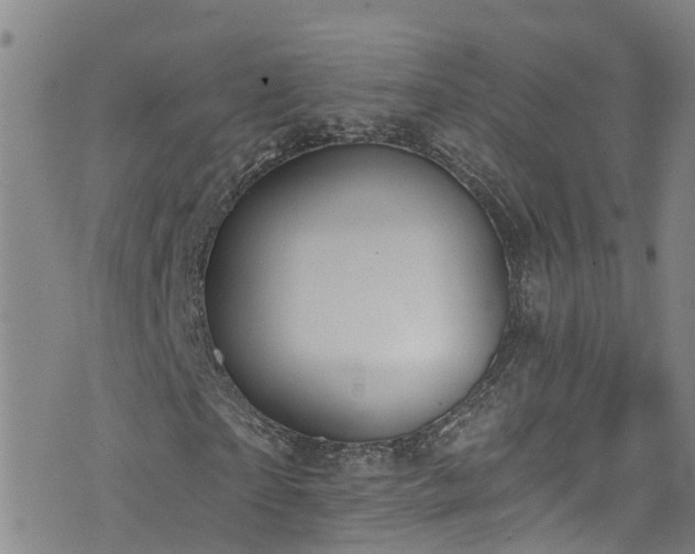 X0000074940865200609011113