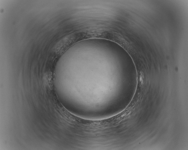 X0000074940867200609011113