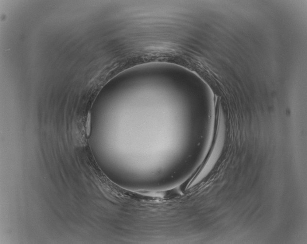 X0000074940868200609011113