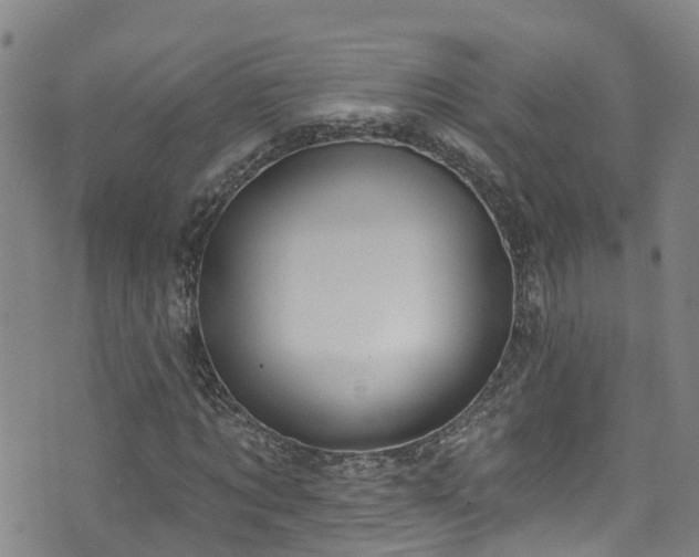 X0000074940869200609011113