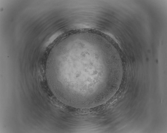 X0000074940871200609011113