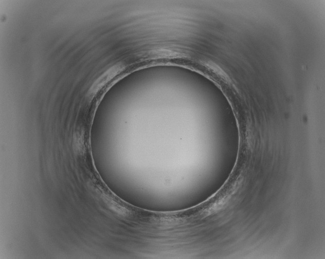 X0000074940873200609011113