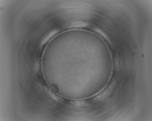 X0000074940874200609011113