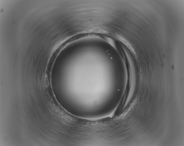 X0000074940876200609011113