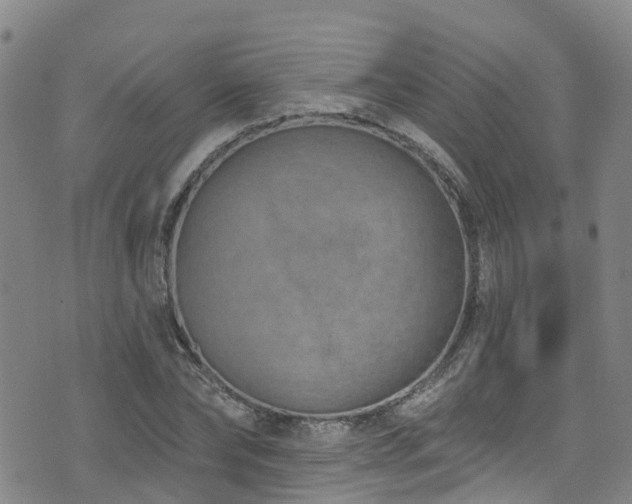 X0000074940878200609011113