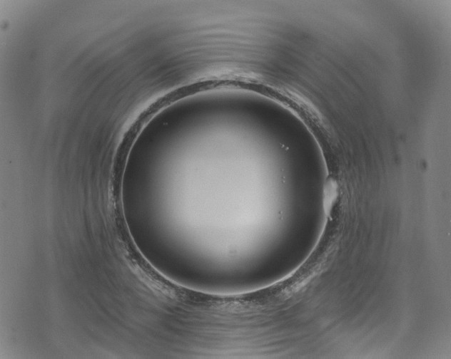 X0000074940880200609011113