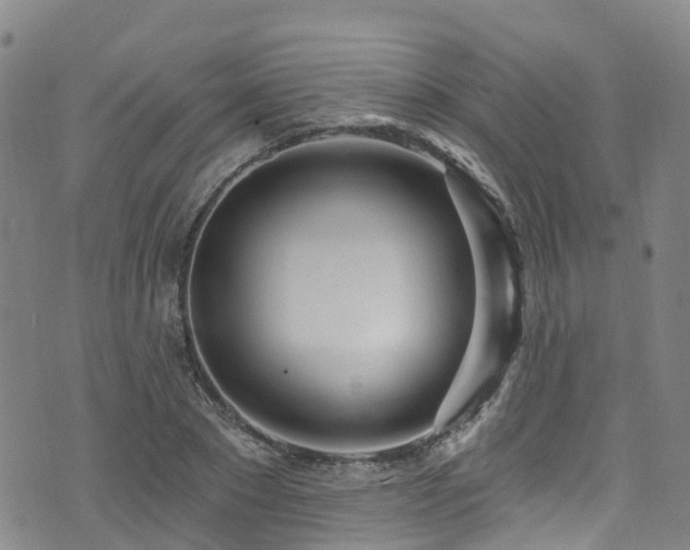 X0000074940881200609011113