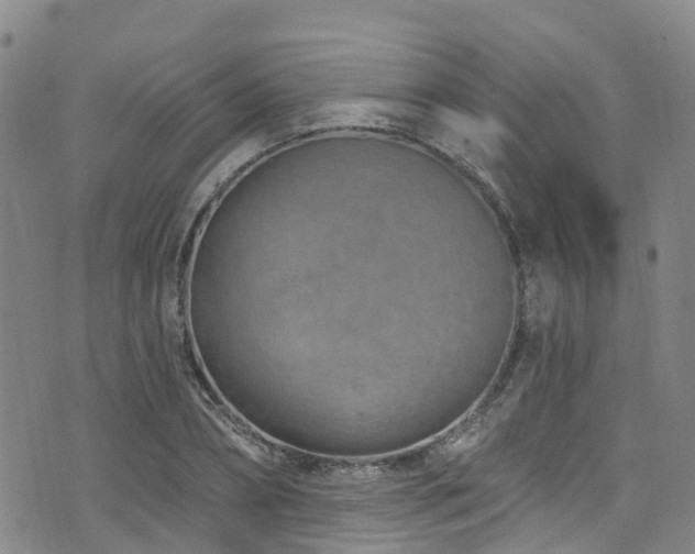 X0000074940882200609011113