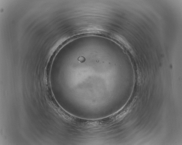 X0000074940883200609011113