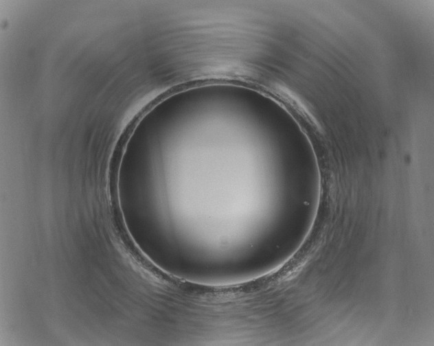 X0000074940884200609011113