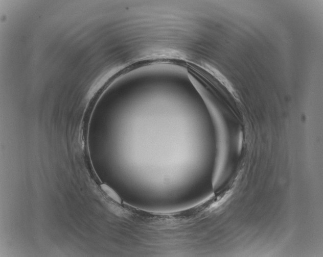 X0000074940885200609011113