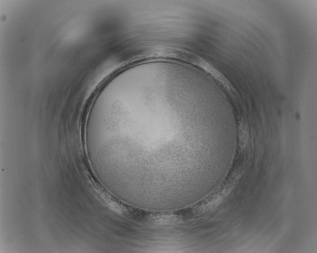 X0000074940886200609011113