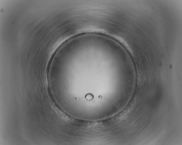 X0000074940887200609011113