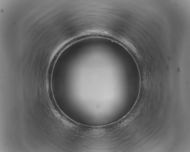 X0000074940888200609011113