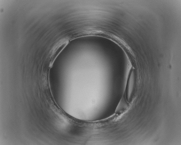 X0000074940889200609011113