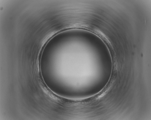 X0000074940892200609011113