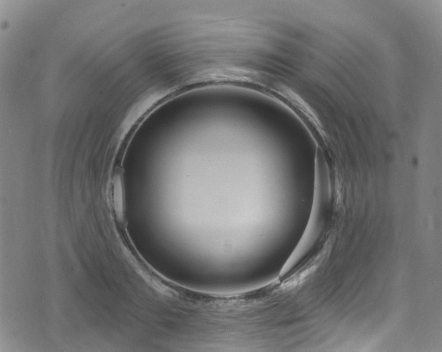 X0000074940893200609011113