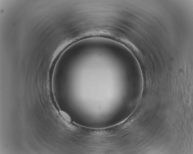 X0000074940894200609011113