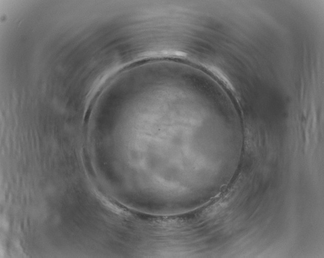 X0000074940895200609011113