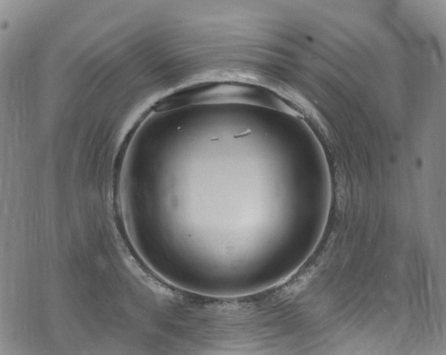 X0000074940896200609011113