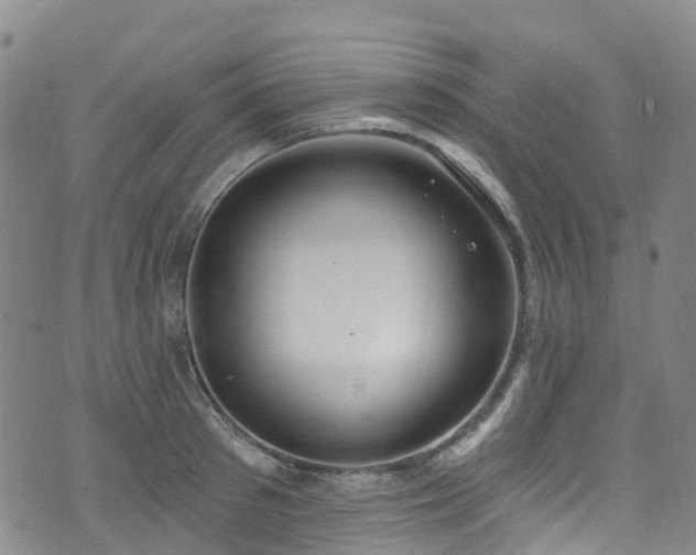 X0000074940897200609011113