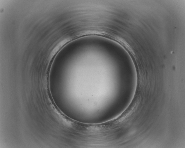 X0000074940898200609011112