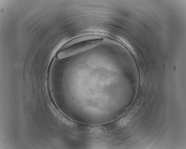 X0000074940899200609011112