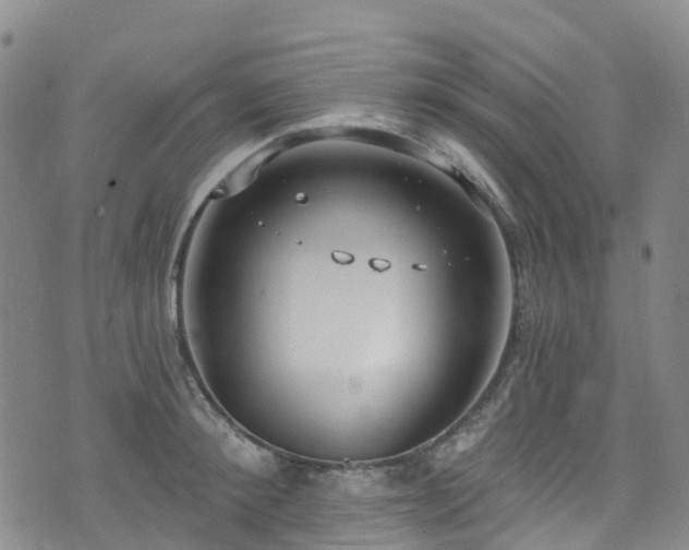 X0000074940900200609011112