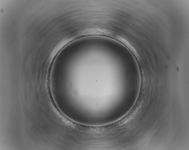 X0000074940901200609011112