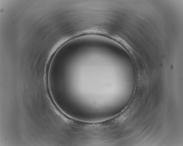 X0000074940902200609011112