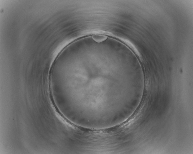 X0000074940903200609011112