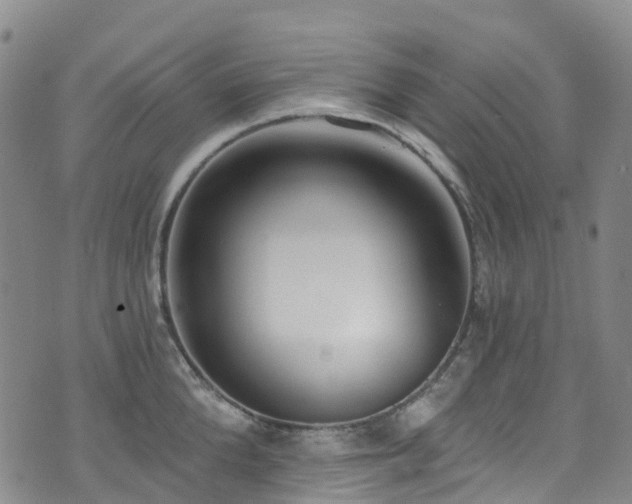 X0000074940904200609011112