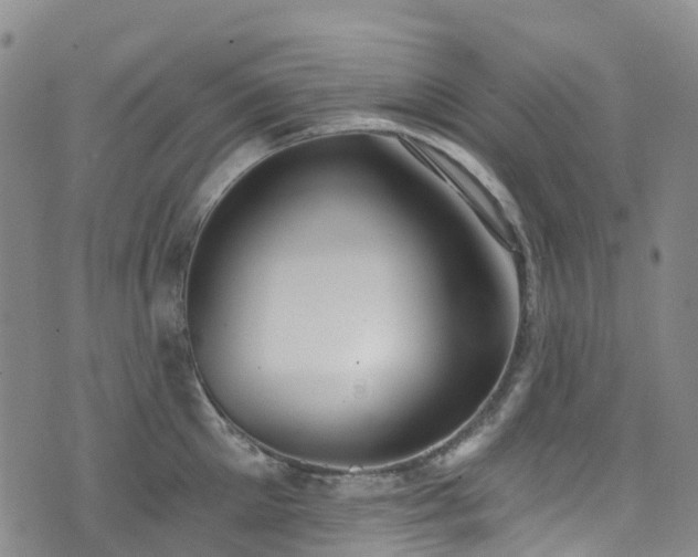 X0000074940905200609011112