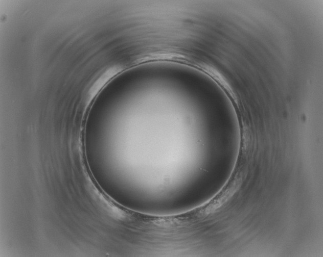 X0000074940906200609011112