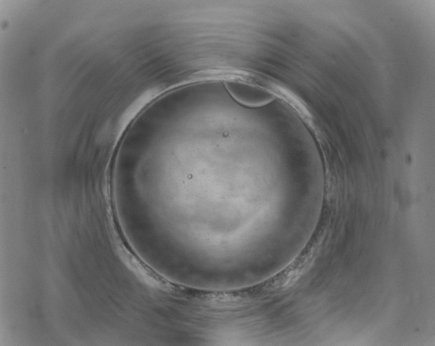 X0000074940907200609011112