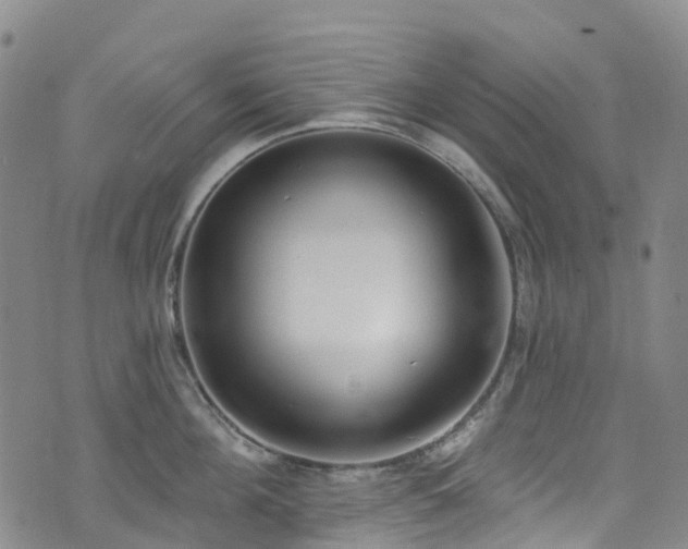 X0000074940908200609011112