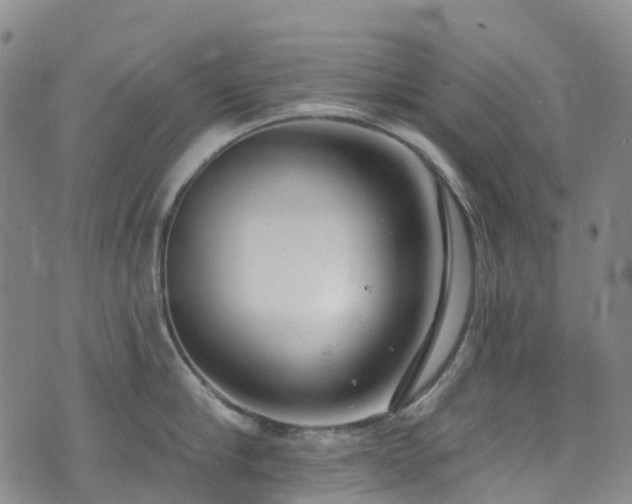 X0000074940910200609011112