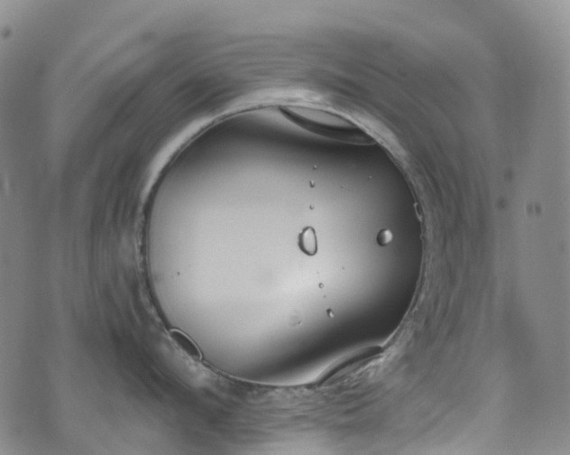 X0000074940912200609011112