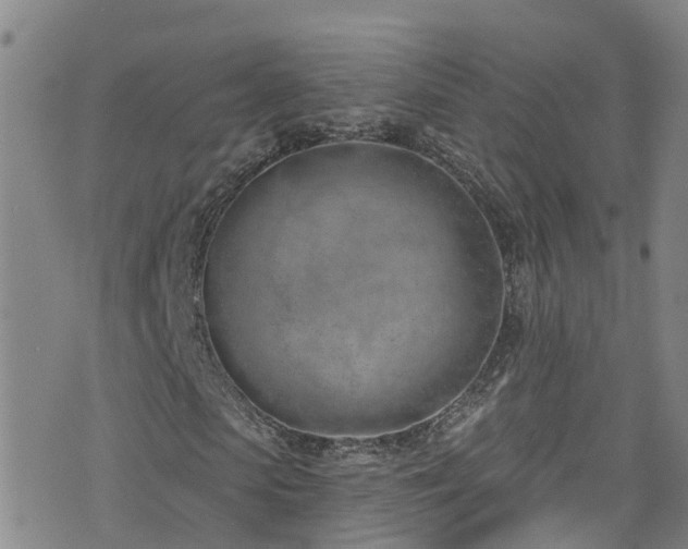 X0000074940913200609011111