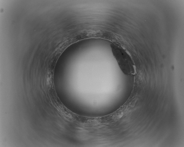 X0000074940914200609011112