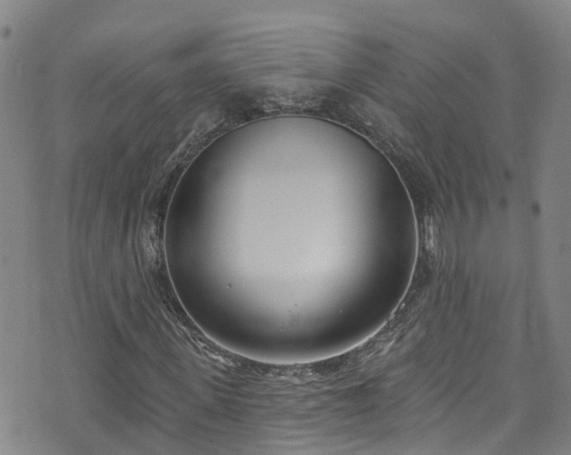 X0000074940915200609011112