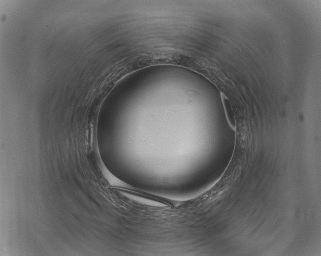 X0000074940916200609011112