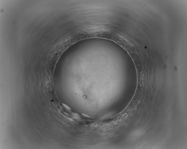 X0000074940917200609011112