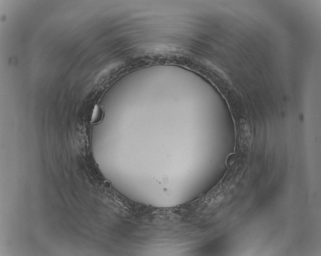 X0000074940918200609011112