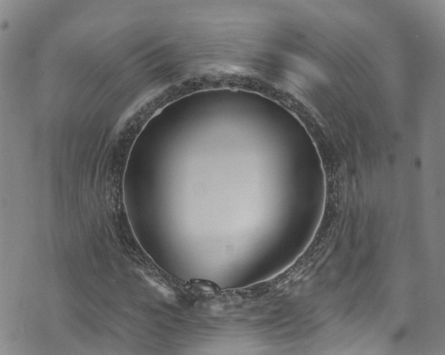 X0000074940919200609011112