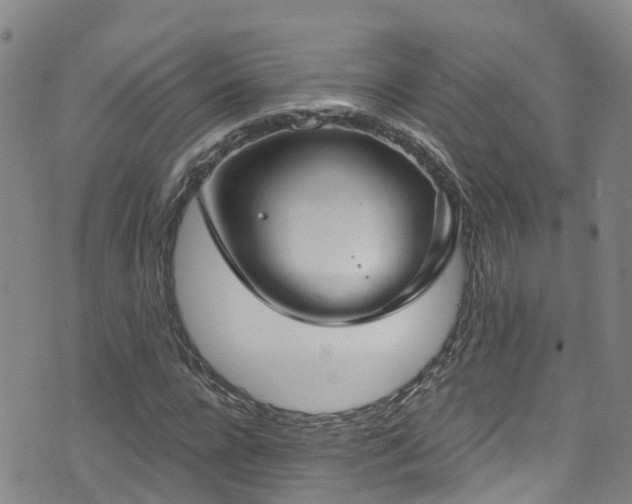 X0000074940920200609011112